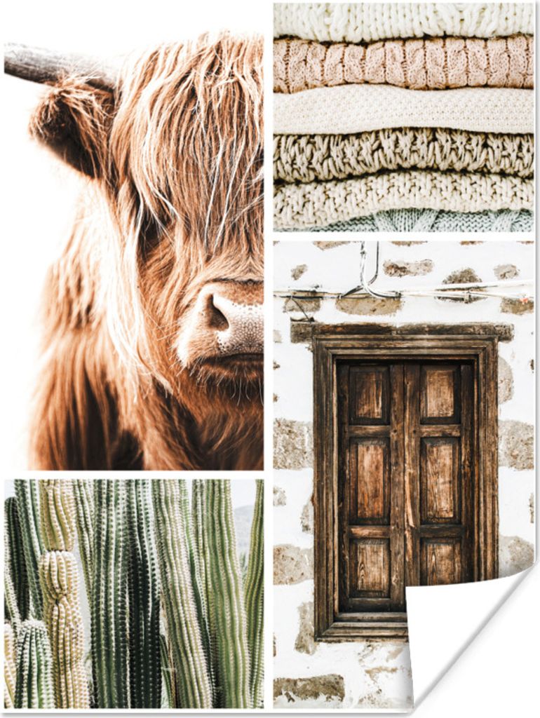 MuchoWow Poster Schottischer Highlander - Pullover - Kaktus 60x80 cm - Schlafzimmer Dekoration