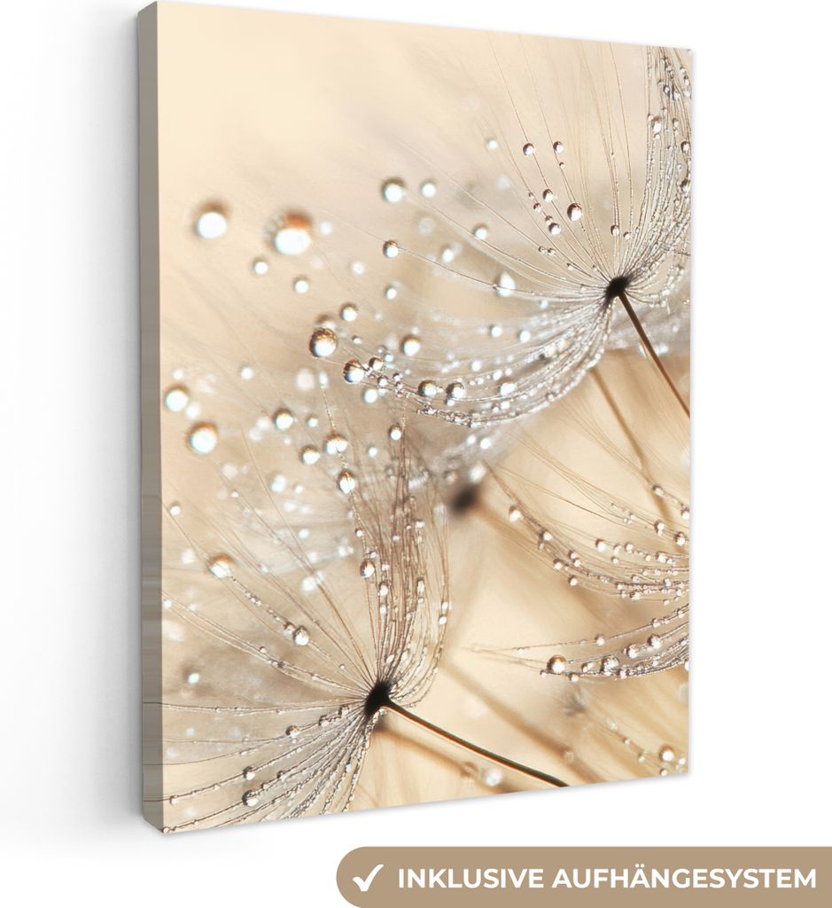 Leinwand Bilder 30x40 cm - Blumen - Löwenzahn - Wasser, Wandbilder, Wanddeko Wohnzimmer, Bild