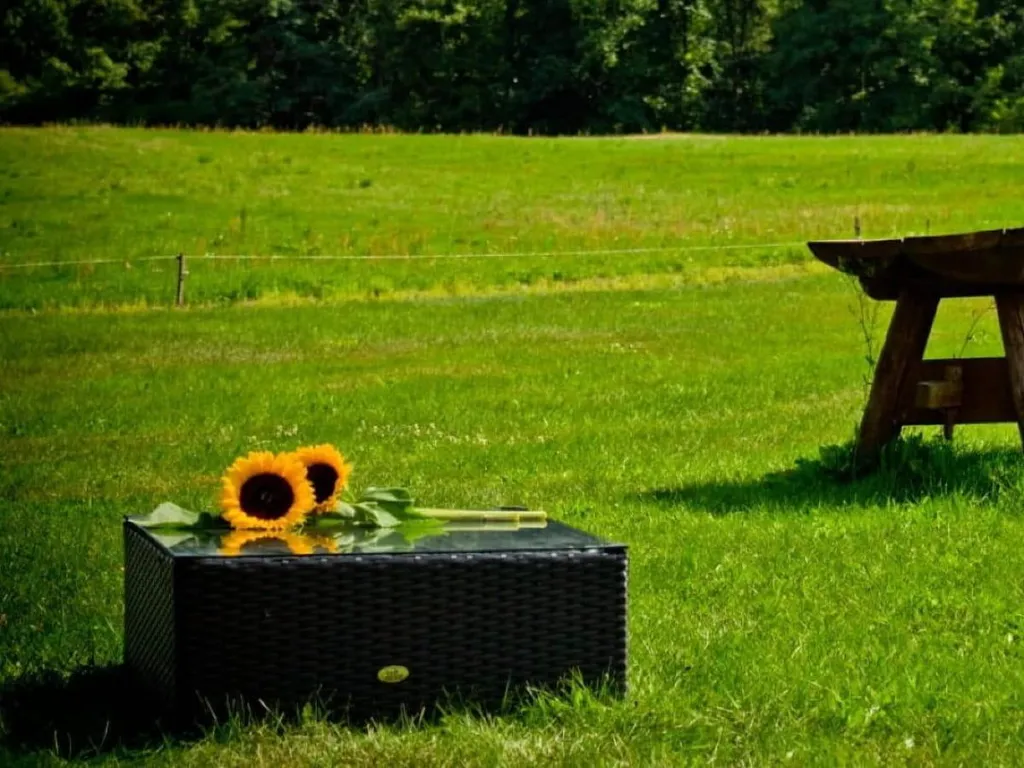 Table Basse Extérieure Durable - Finis la Rouille et l'Entretien !