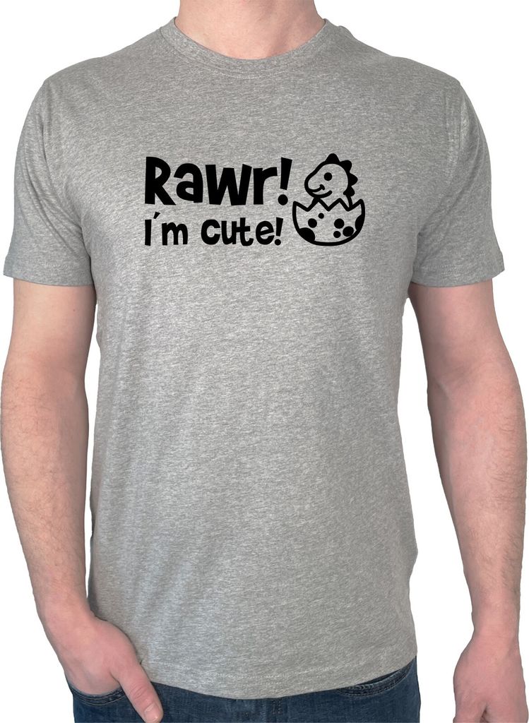 Huuraa Herren T-Shirt Baby Dino I`m cute XL Sport Grey Bio Baumwolle Fairtrade Herrenshirt Geschenkidee