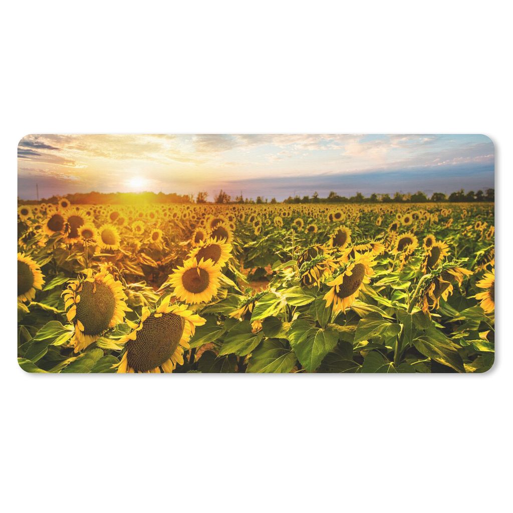 MuchoWow Schreibtischunterlage Blumen - Sonnenblume - Himmel 80x40 cm - XXL Mauspad - Gaming Mauspad