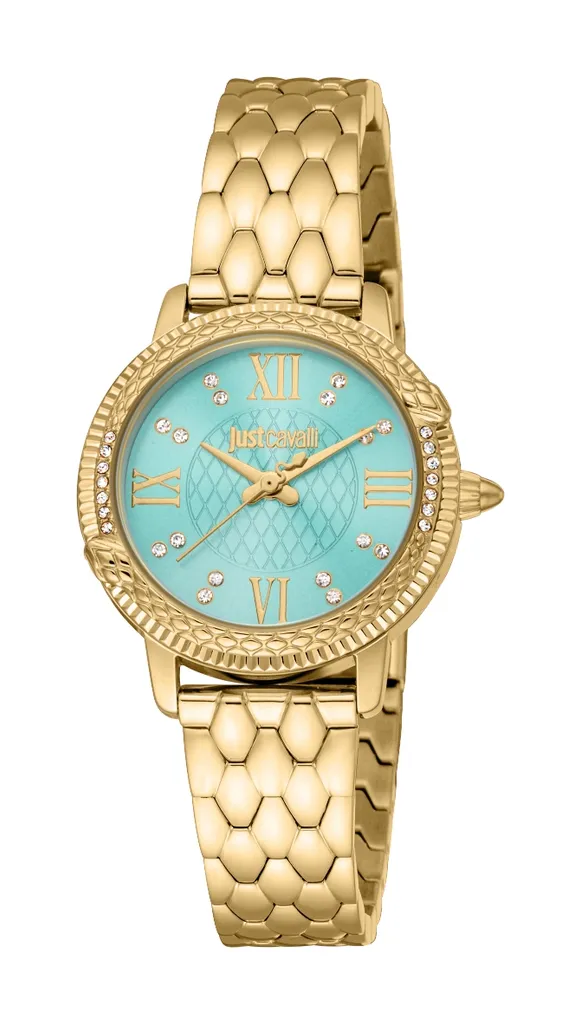 Just Cavalli JC1L276M0065 Montre Fidenza Inoxydable Durable et sans Rayures