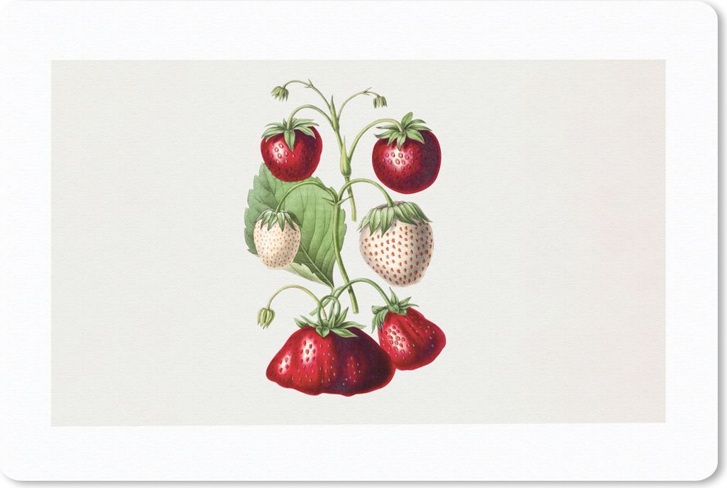 MuchoWow Mauspad Mousepad Erdbeeren - Obst - Gesund 27x18 cm - Mousepads - Maus Mat - Pad - Mausunterlage - Büroartikel - Desk Matten