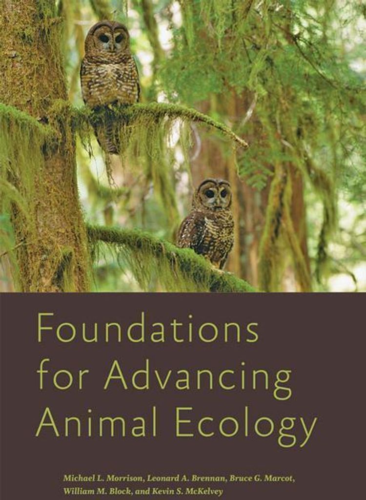 Foundations for Advancing Animal Ecology