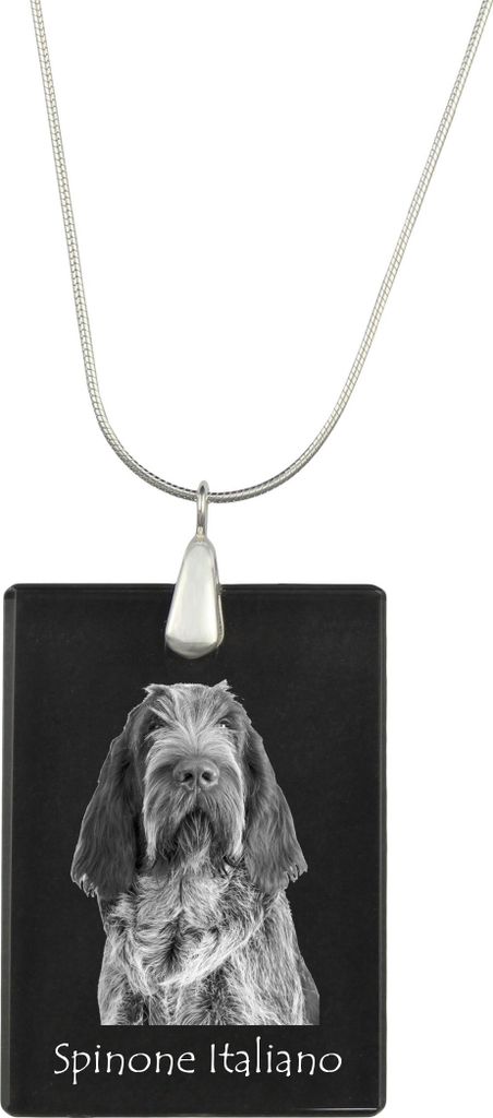 Italienischer Spinone, Spinone Italiano - Kristallanhänger mit Hund, Silberhalskette mit Foto, personalisierter Anhänger der Marke Art-Dog