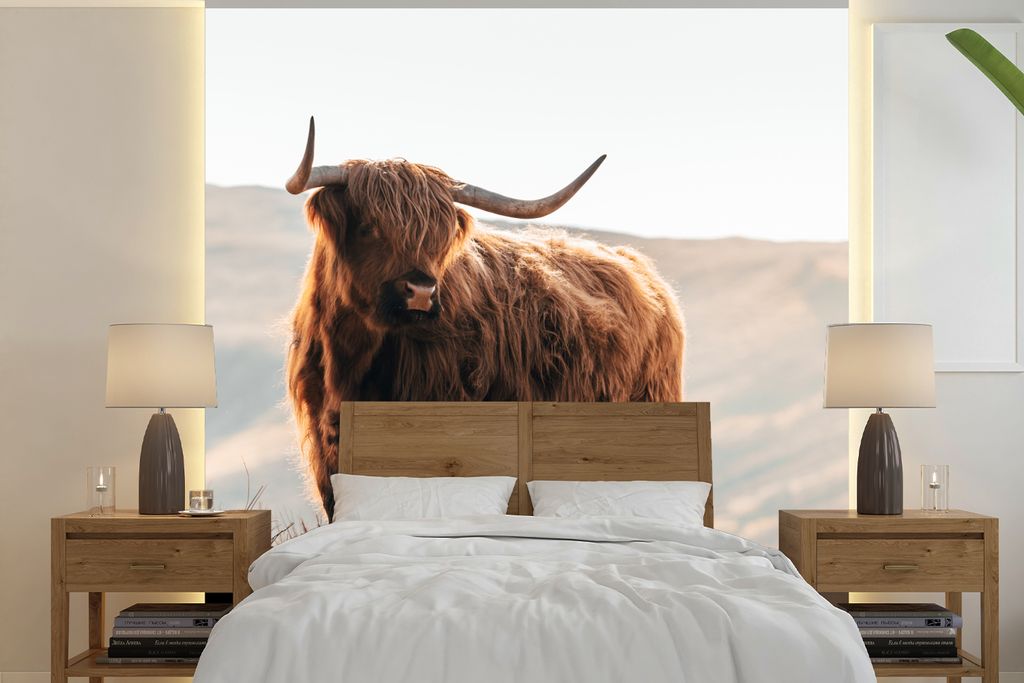 MuchoWow Fototapete für Wohnzimmer oder Schlafzimmer Wandtapete Vinyl Motivtapete Schottische Highlander - Tiere - Ländlich - Landschaft - Kuh ...