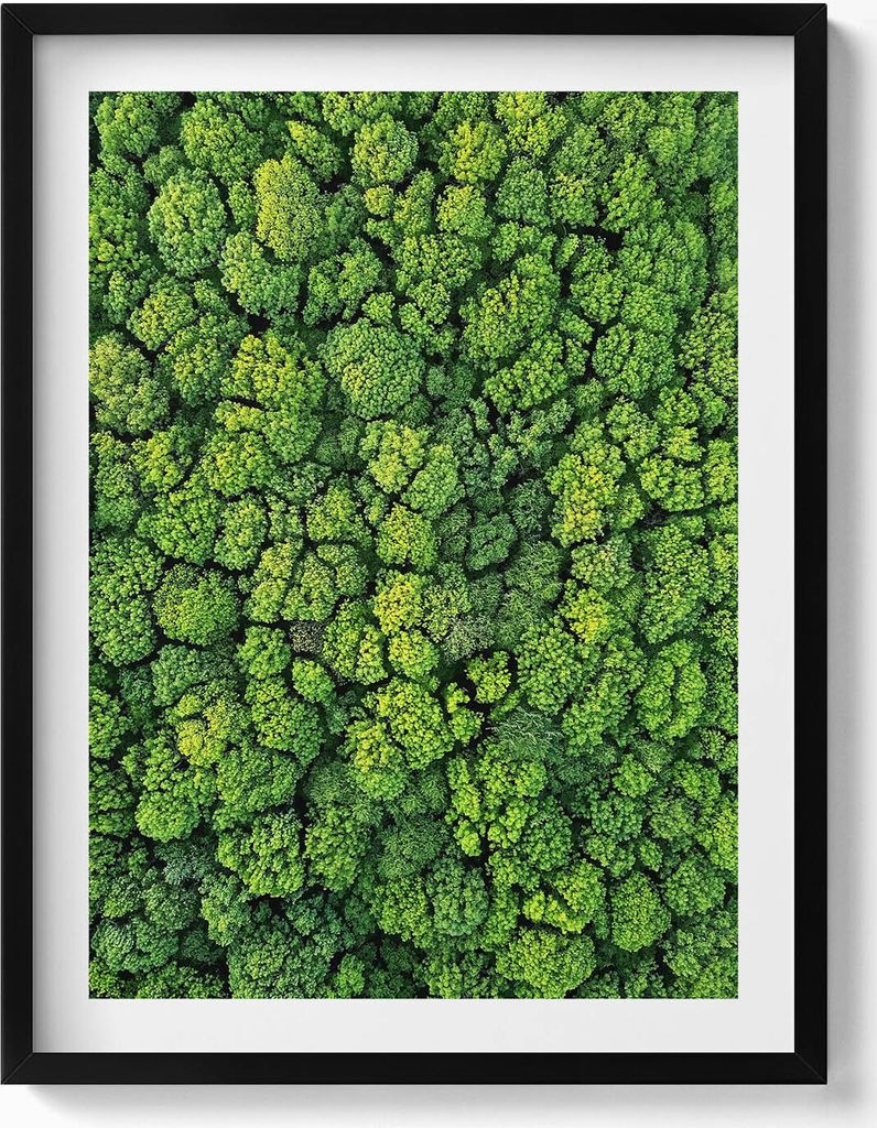 Wald aus der Vogelperspektive– Wandbild mit Rahmen – Gerahmtes Bild – Wanddekoration – 60x80 cm – Schwarz Rahmen