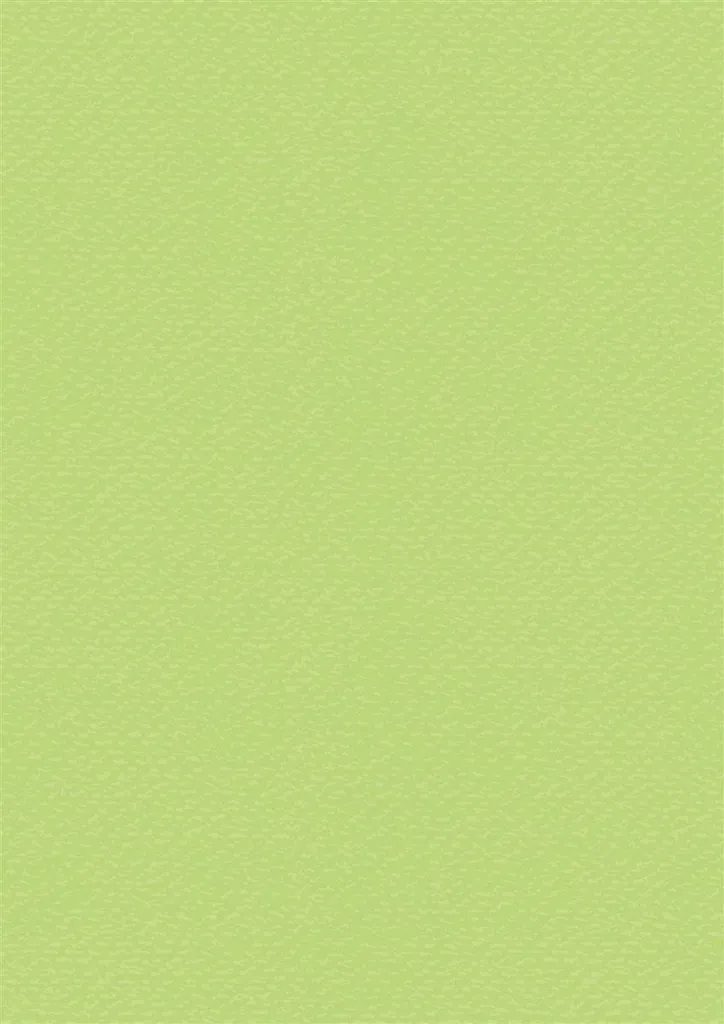 Papier cartonné vert clair A4 Heyda pour présentations impeccables