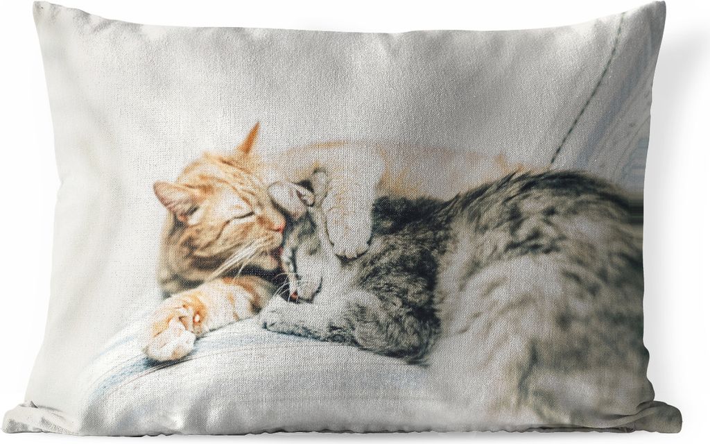 MuchoWow Outdoor Kissen - Katzen - Sofa - Wohnzimmer - 60x40 cm - Wetterfest - Lounge Kissen - Zierkissen - Kissen für Innenräume