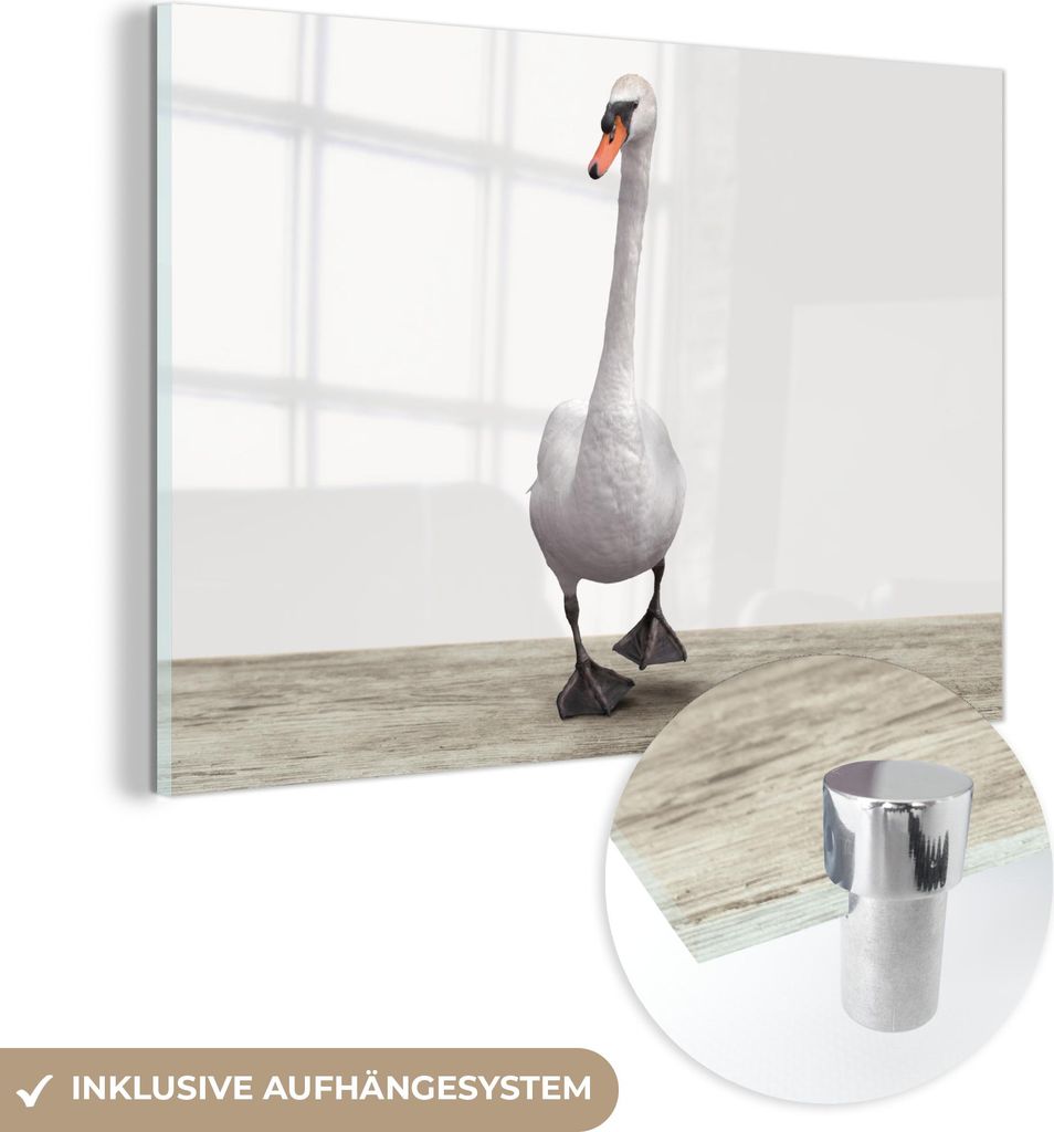 MuchoWow Glasbilder - Bilder auf Wandbild - Foto auf Glas Schwan - Tiere - Vogel - Jungen - Mädchen - Kinder 60x40 cm Wanddekoration aus Glas - Ac...
