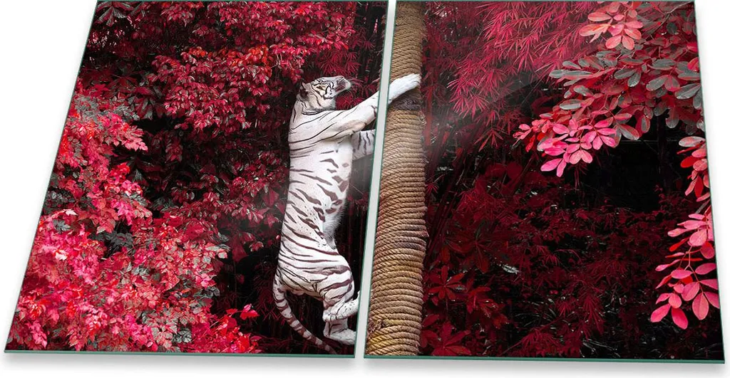 Piastra di copertura per piano cottura in ceramica 2 pezzi 2x40x52 Animali Copertura dell'alzatina in vetro colorata