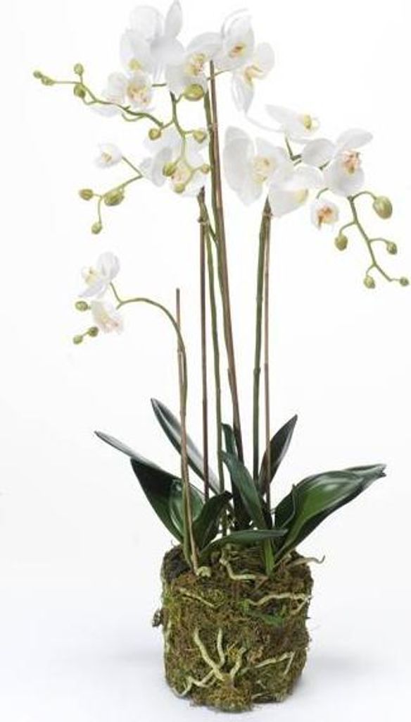 artplants.de Künstliche Orchidee Phalaenopsis Pabla im Erdballen, weiß - gelb, 80cm - hochwertige Kunstorchidee