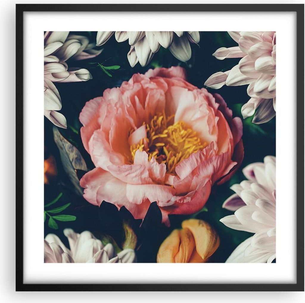 Gerahmtes Poster - Schwarzer Rahmen - Blumen Pfingstrose Holzig - 50x50 cm - Wand Bild - Wanddeko - Wandbilder - Kunstposter - Wandposter - Bilderr...