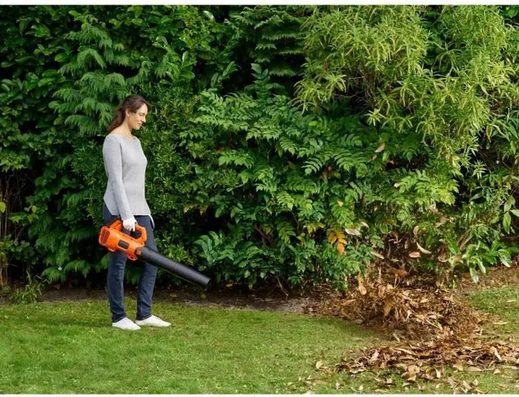 BCBL200L-QW Black & Decker : La solution pour volets et débris sans effort - 4