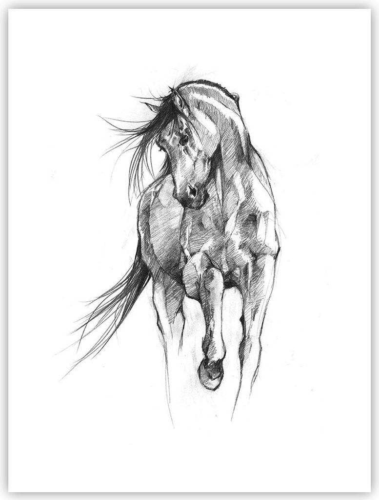 Poster - Poster ohne Rahmen - Pferd Galopp Tier - 30x40 cm - Wand Bild - Wanddeko - Wandbilder - Kunstposter - Wandposter - Bilder - Kunstdruck - W...