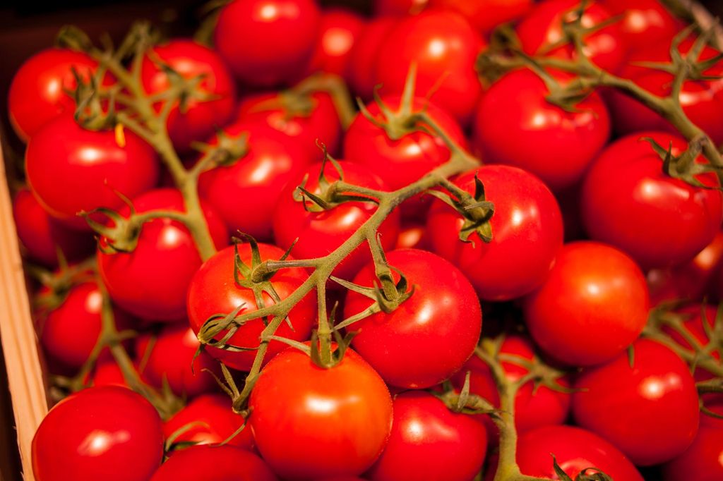 Toraf Gemüsesamen Bajaja Kirschtomate, Packung 0,3g Produktbild 6