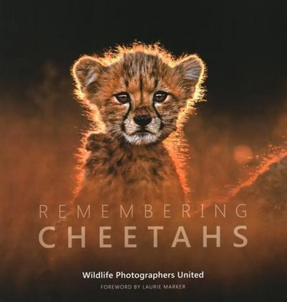 Livre Photo Remembering Cheetahs : Cadeau Idéal pour Fans de Safari