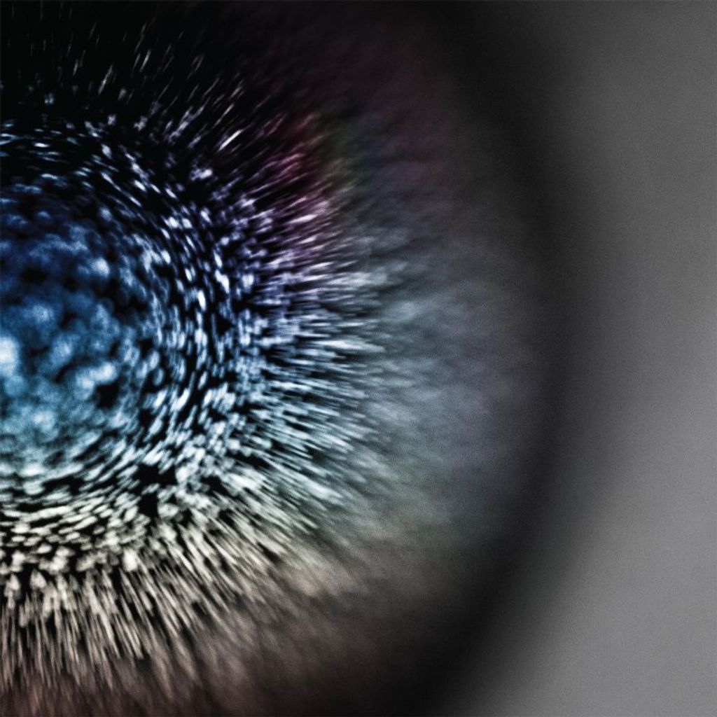 Emptyset - Blossoms Vinyl