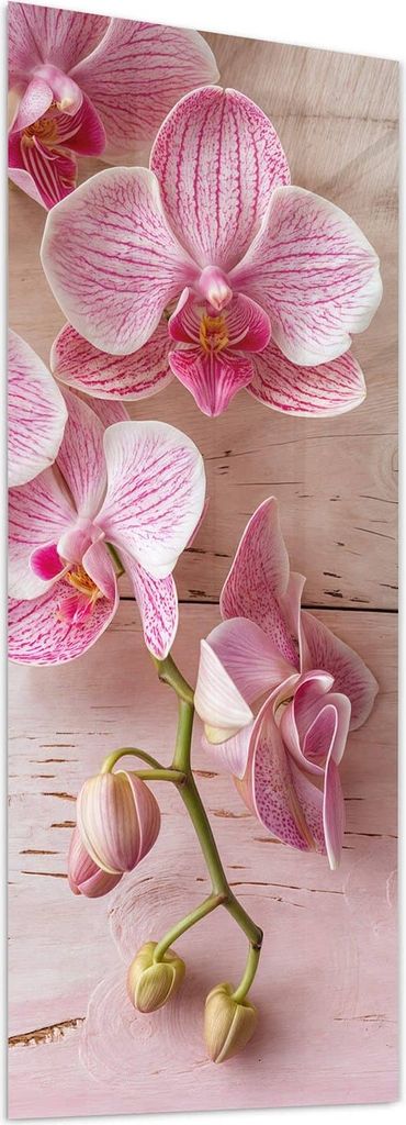 Glasbild 50x125cm in XXL für Wohnzimmer, Schlafzimmer Motiv Orchideen_tabletop