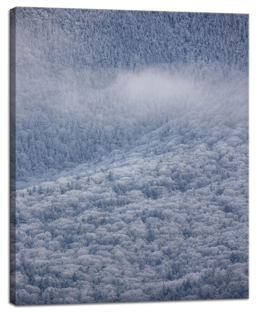 Leinwanddruck Natur Wald im Schnee 40x50 cm