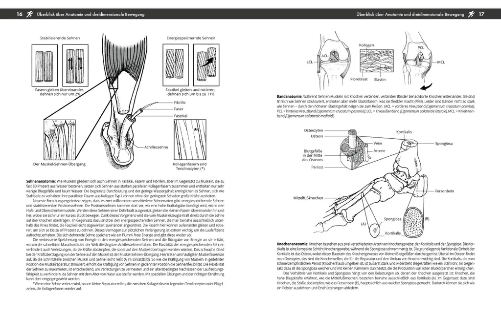 Livre Courir sans se blesser : Guide Running Prévention et Performance - 4