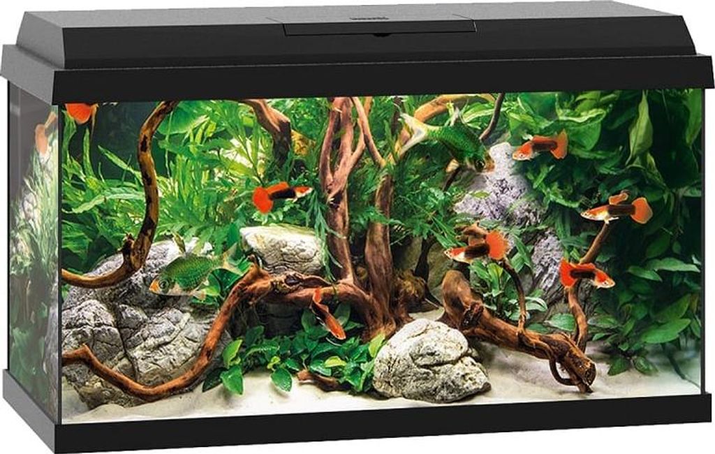 Aquarium JUWEL Primo 60 y compris couvercle avec éclairage Image du produit 
