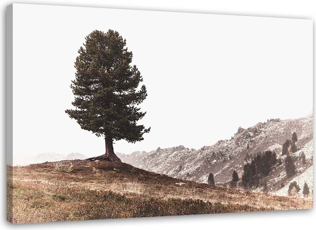 Leinwandbild baum in den hügeln 120x80 cm Feeby braun wandbild bereit zum aufhängen