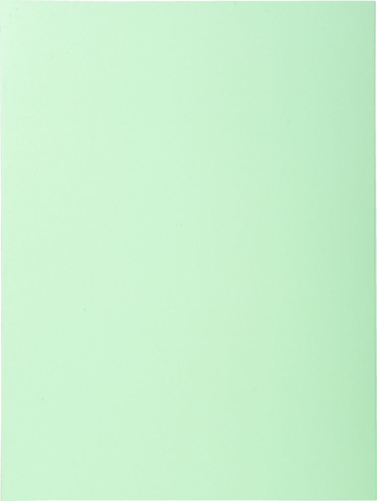 Exacompta 5x 100er Aktendeckel SUPER 160 24x32cm - Hellgrün - 340004E