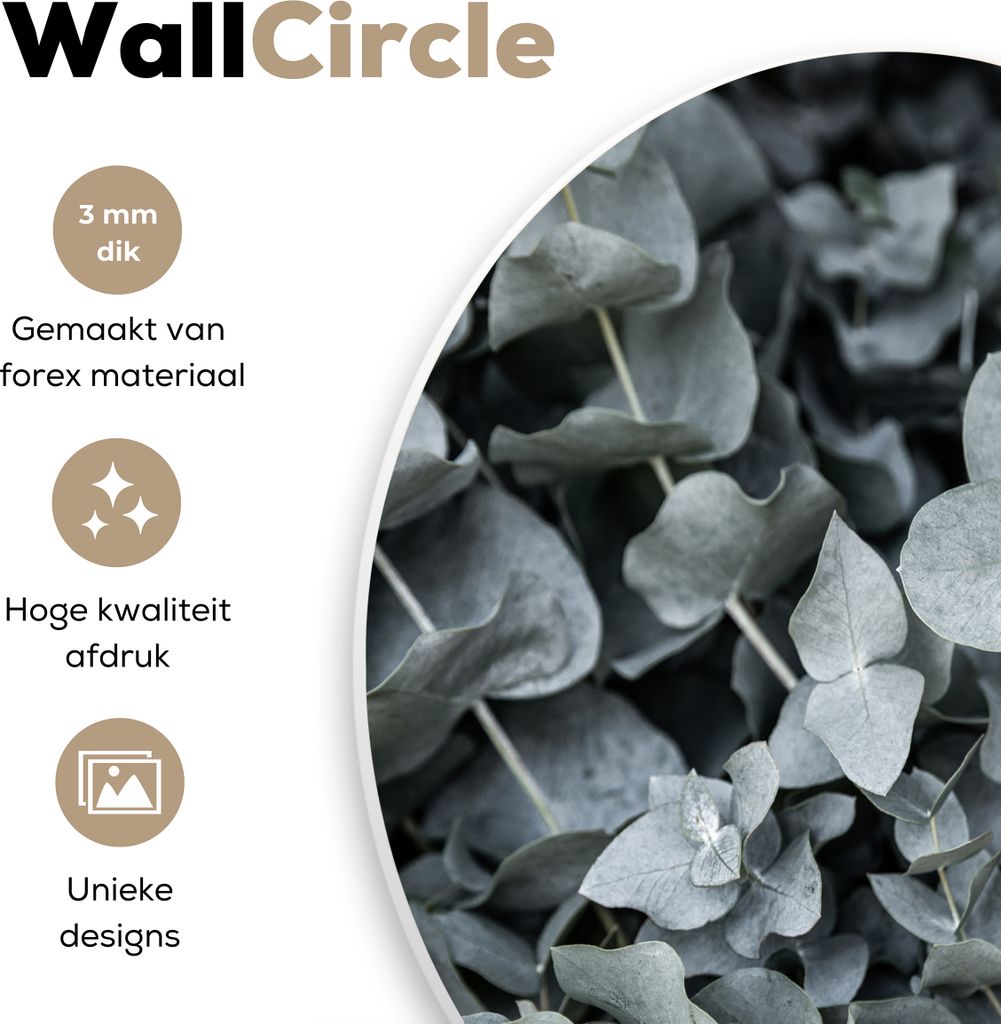 MuchoWow - Wand-Kreis - Wohnzimmer - Bild - Runde - Wanddeko - Dibond - Kunstdrucke
