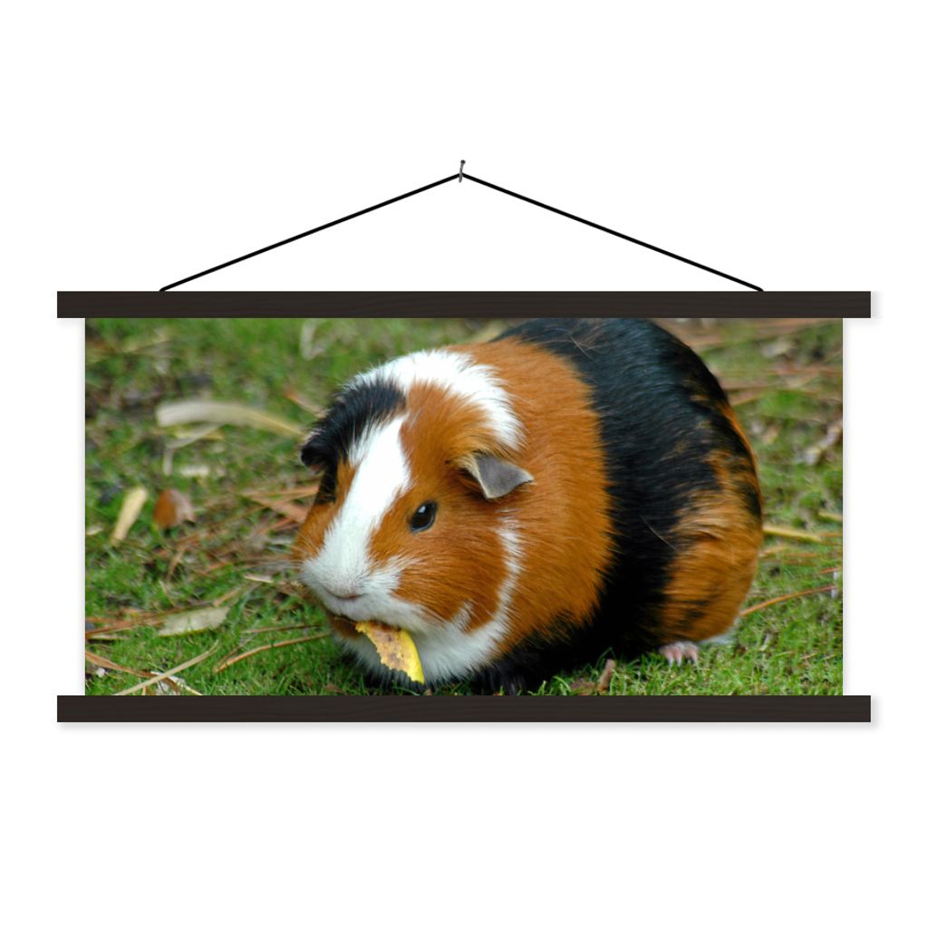 MuchoWow Textilposter Meerschweinchen draußen 120x60 cm mit schwarzem Rahmen - Dekoration Schlafzimmer