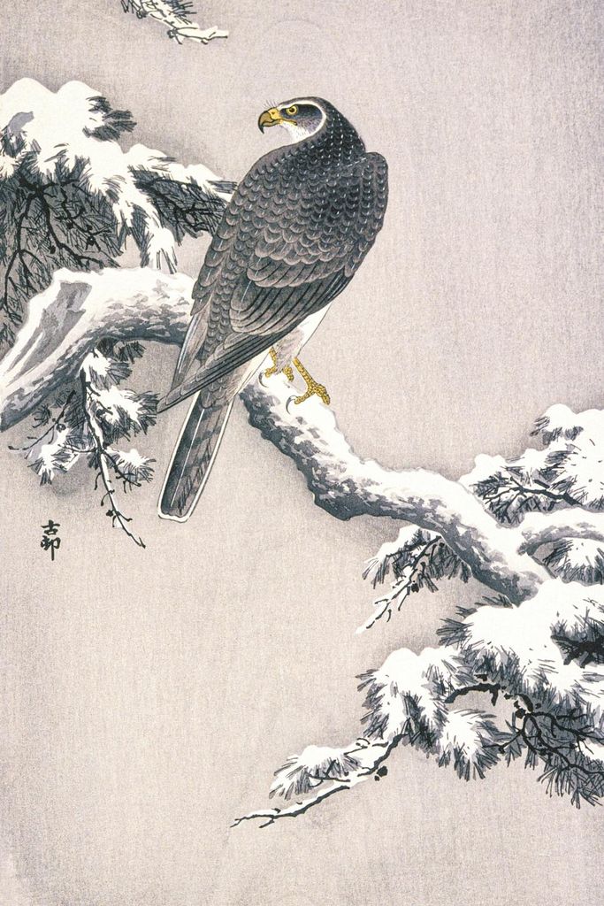 Plakat 40x60cm Habicht im Schnee, Japanischer Kranich Vintage für das Wohnzimmer