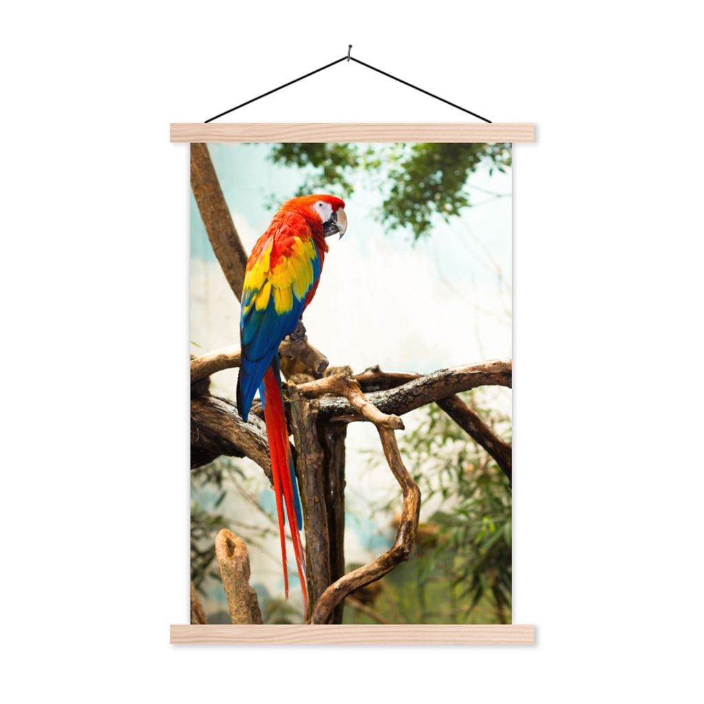 MuchoWow Textilposter Papagei - Vogel - Regenbogen - Tropisch 40x60 cm mit holzfarbenen Rahmen - Poster