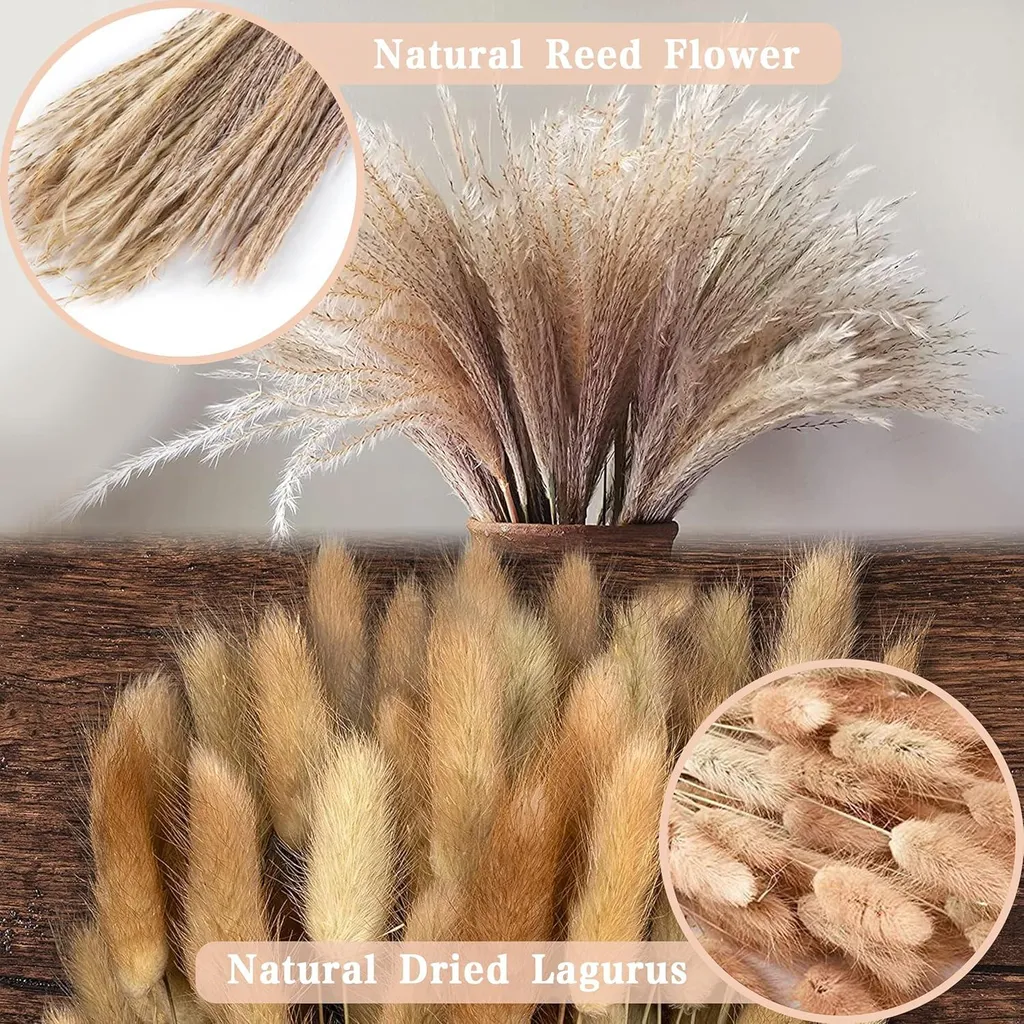 Herbe de la Pampa pour mariage et décoration de table marron blanc - 5