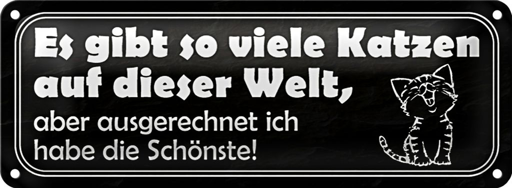 Blechschild Spruch 27x10cm es gibt so viele Katzen auf Welt Dekoration