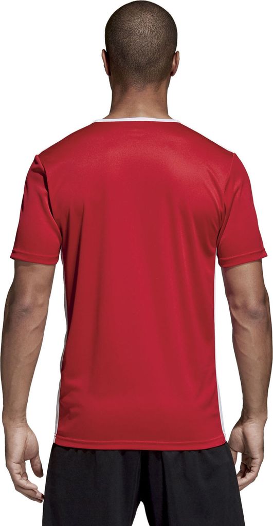 Adidas Koszulki Entrada 18, CF1038, Größe: 176 Zdjęcie produktu 8
