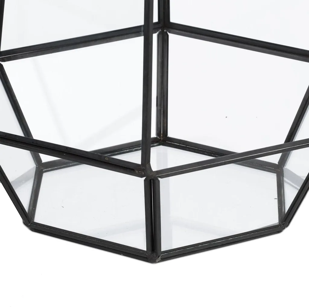 Terrarium géométrique en verre pour succulentes - Modèle Hexa 25 cm - 4