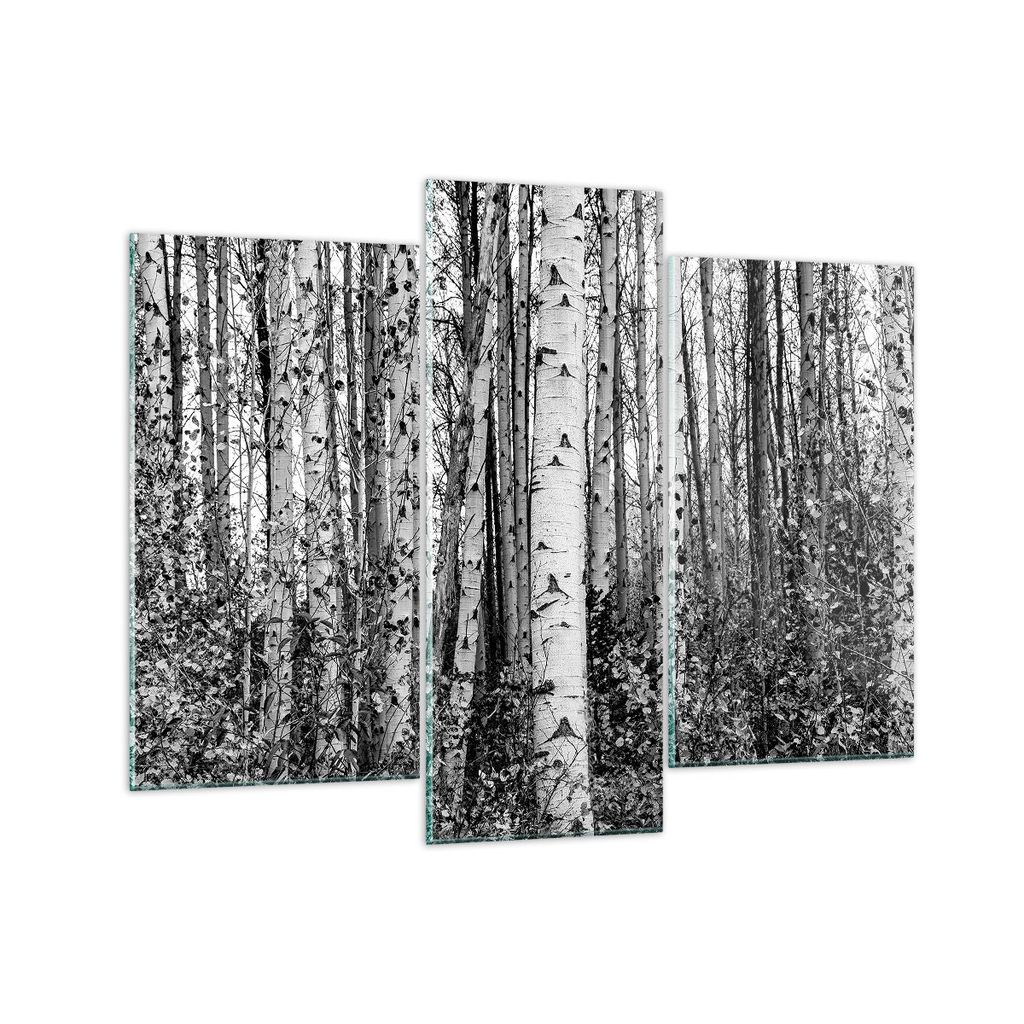 Bilder auf glas - 3 Teile - Birken Wald Monochrom - 130x100cm - Glasbilder - Wandbilder - Bilder - zum Aufhängen bereit - Wanddekoration aus Glas ...