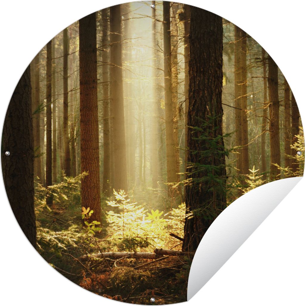 MuchoWow Gartenposter Outdoor-Poster Rund Wald - Bäume - Sonne Ø 90 cm Gartendeko Rundes Poster draußen