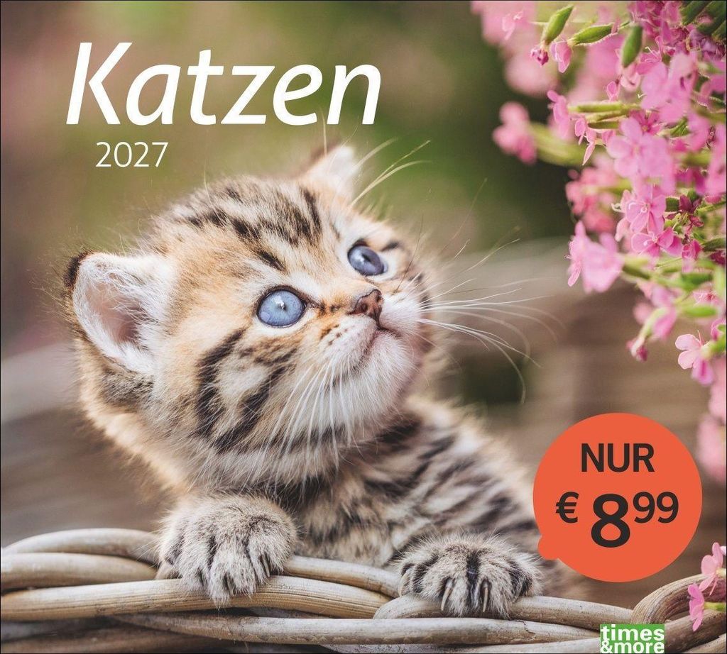 Heye Bildkalender 2027 tm Katzen 30x27cm