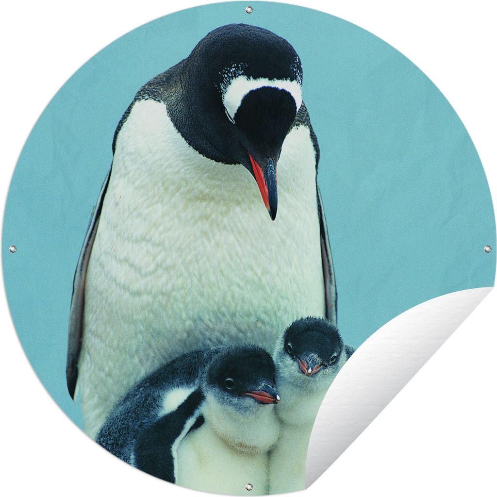MuchoWow Gartenposter Outdoor-Poster Rund Tiere - Pinguine - Küken Ø 90 cm Gartendeko Rundes Poster draußen