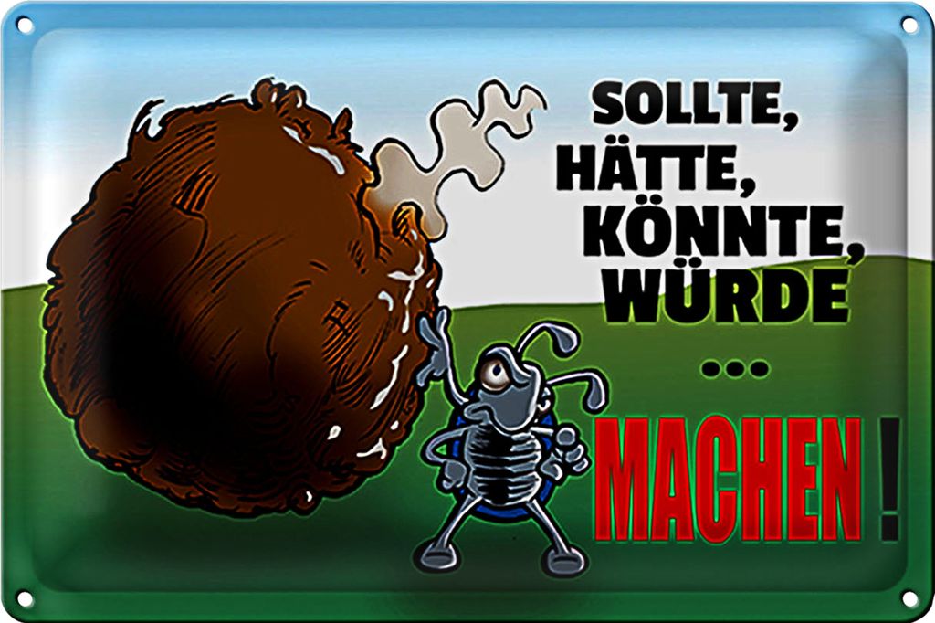Blechschild Spruch 40x30cm Sollte hätte könnte Machen