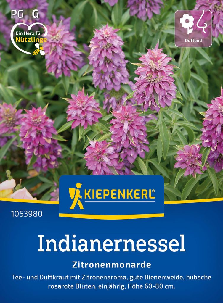 Artikelbild 2 von 'Indianernessel Zitronenmonarde' aus der Kategorie Kräutersamen