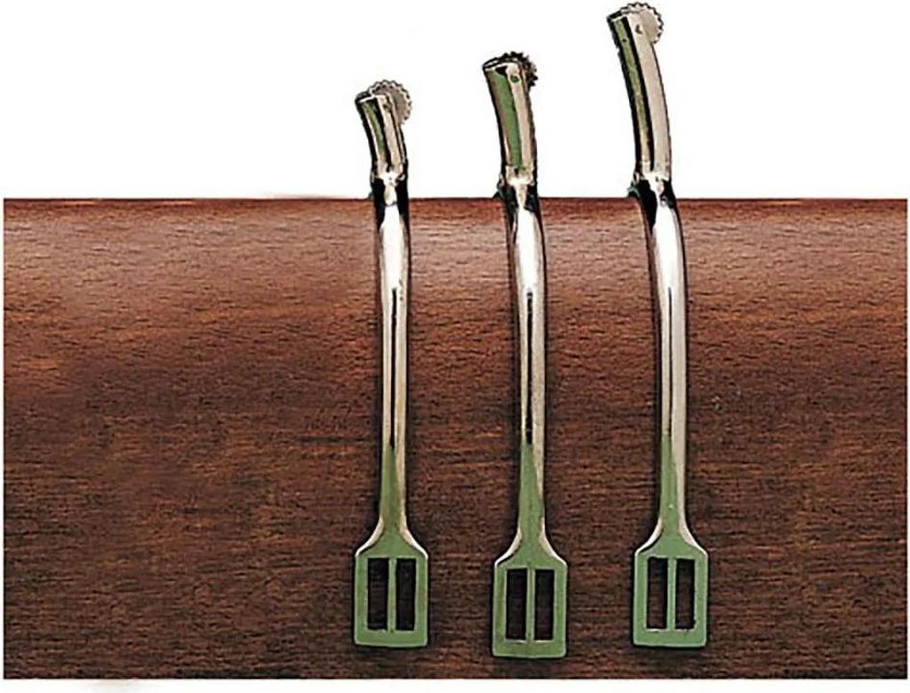 Hispano Hipica Women Chrome-plated Flat End Rowels Prongs English Sporen Silber 20 mm Silber 20 mm