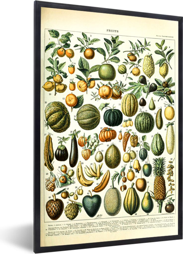 MuchoWow Gerahmtes Poster Obst - Lebensmittel - Design - Vintage - Adolphe Millot 20x30 cm - Poster mit Schwarzem Bilderrahmen Wandposter Rahmen ...