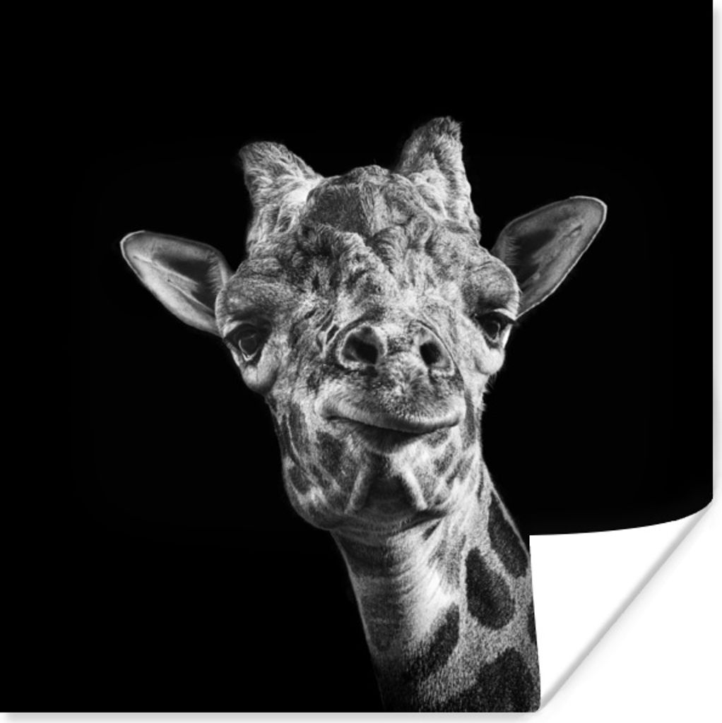 MuchoWow Poster Giraffe - Tier - Schwarz - Weiß 75x75 cm - Wand Dekoration