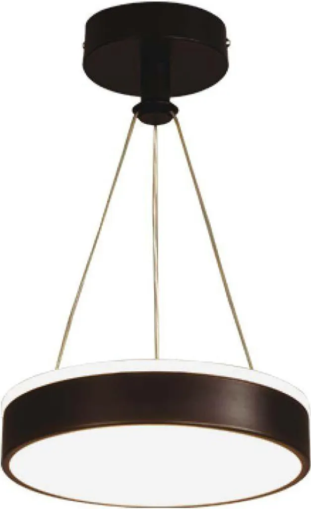 Plafonnier LED circulaire noir moderne luminaire de plafond chic