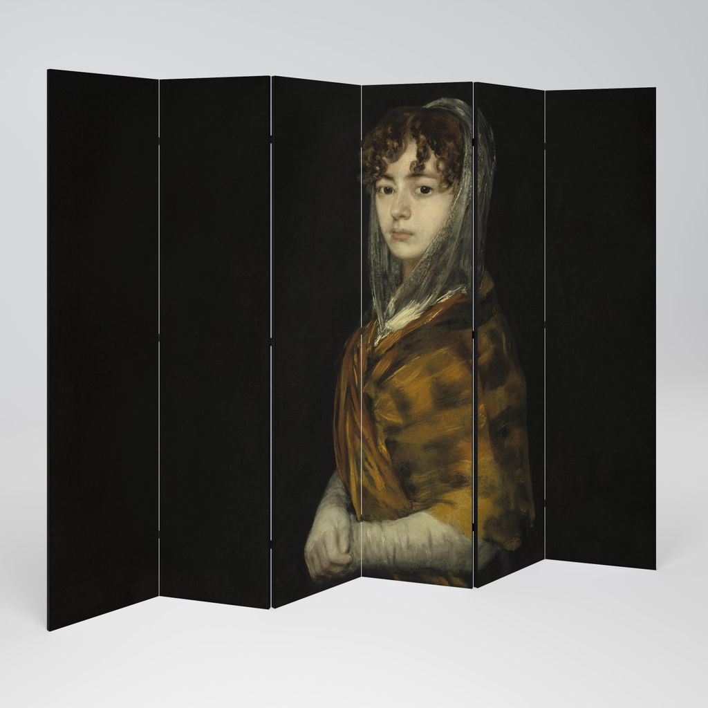 SpaceRebels Paravent Raumteiler - 6-teilig Raumtrenner, Druck 1-Seite - Raumtrenner - Trennwand Wohnung - Room Divider - Spanische Wand Deko Modern...