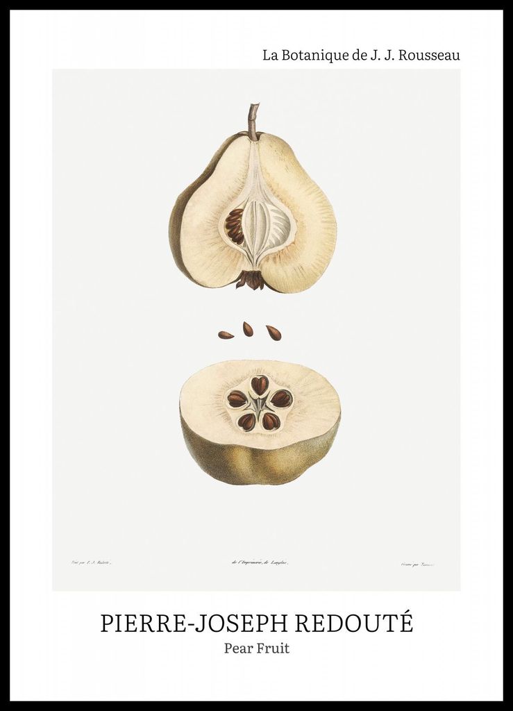 Plakat 50x70cm Design Birne Frucht, Redoute Vintage für das Wohnzimmer