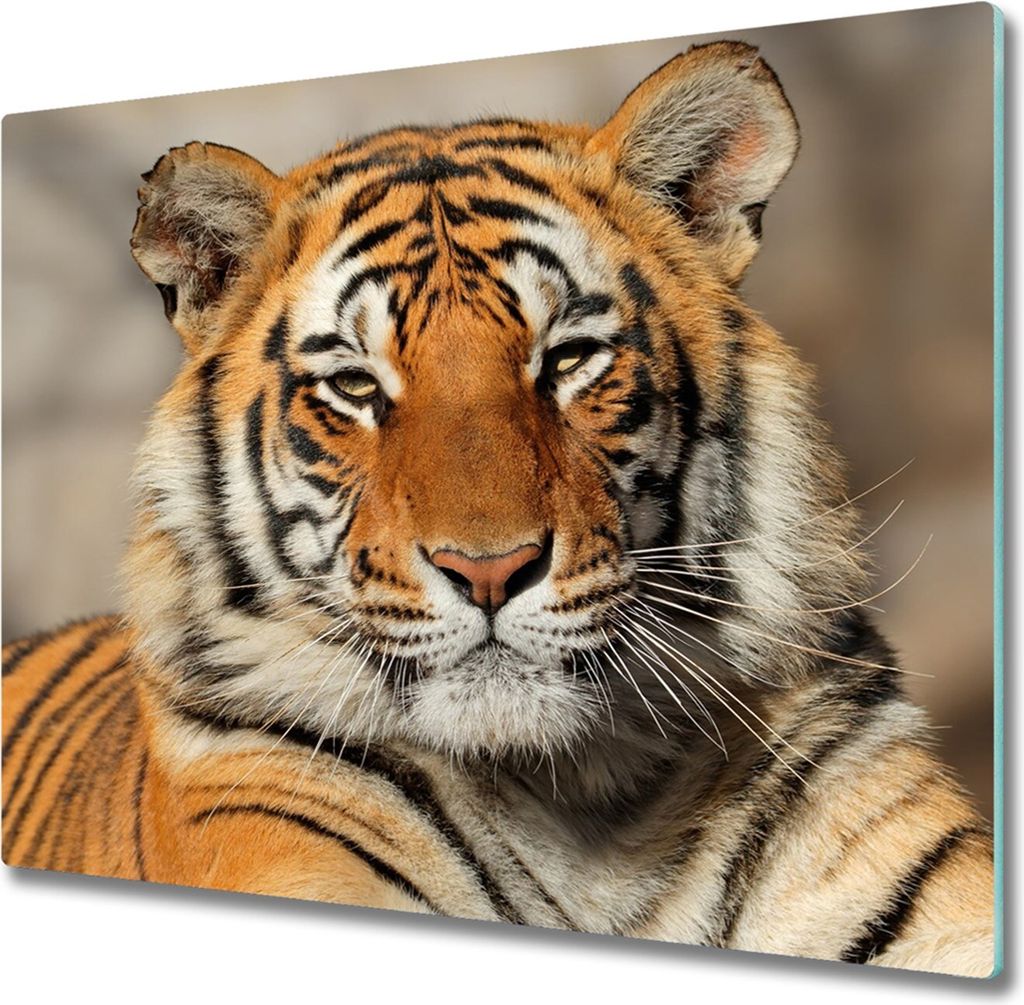 Glas Herdabdeckplatte 60x52 cm Spritzschutz Glasabdeckplatte Schneidebrett Bengalischer Tiger
