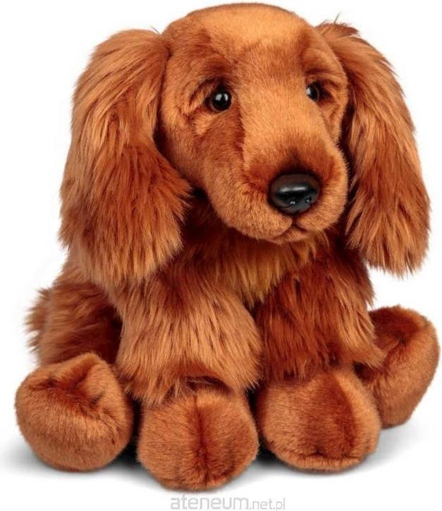 Cocker Spaniel di peluche Immagine del prodotto 